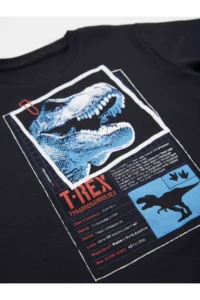 MSHB&G T-rex Info Boys' T-Shirt Capri Shorts Set - Image 5