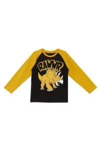MSHB&G Rawr Boys' T-Shirt Sweatpants Set - Image 5