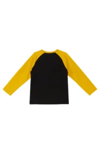 MSHB&G Rawr Boys' T-Shirt Sweatpants Set - Image 6