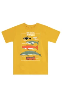 MSHB&G Big Whales Boys' Summer T-Shirt Capri Set - Image 5
