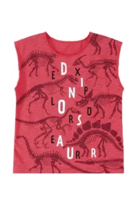 MSHB&G Dinosaur Expert Boy's Summer Sleeveless T-shirt Shorts Set - Image 5