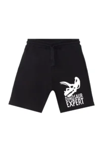 MSHB&G Dinosaur Expert Boy's Summer Sleeveless T-shirt Shorts Set - Image 7