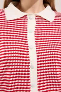 Trendyol Curve Red Polo Shirt Collar Striped Seasonal Knitwear Blouse - Image 3