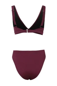 TRENDYOLMİLLA Plum Triangle Covered Regular High Waist Basic Bikini Set - Image 5