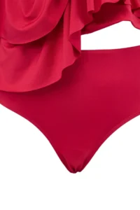 TRENDYOLMİLLA Burgundy with flywheel Tankini Bikini Set - Image 5