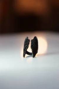 The Collection Kanat Model Adjustable Black Ring - Image 5