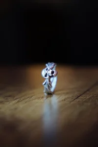 The Collection Winged Skull Silver Plated Adjustable Ring - Image 3