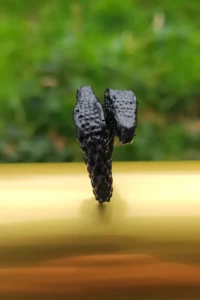 The Collection Double Headed Crocodile Adjustable Black Ring - Image 5