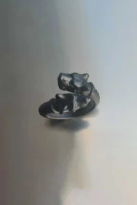 The Collection Matte Black Double Headed Pitbull Model Adjustable Ring - Image 4