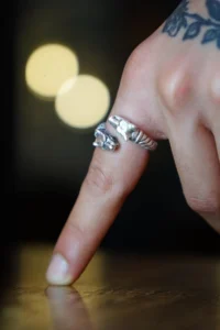 The Collection Double Headed Pitbull Model Adjustable Ring - Image 5