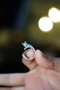 The Collection Antique Silver Plated Wrapped Cat Shaped Adjustable Ring - Image 6