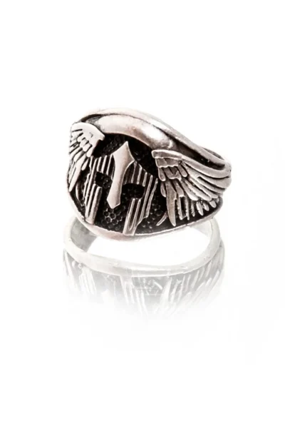 THE7710074-SILVER_1
