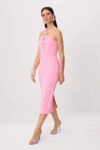 TRENDYOLMİLLA Pink Floral Appliqued Weaving Finike Midi Lined Dress