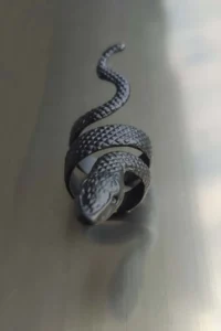 The Collection Adjustable Black Plated Ring with Snake Figure - Image 3