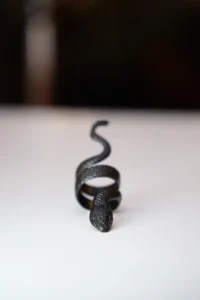 The Collection Adjustable Black Plated Ring with Snake Figure - Image 4