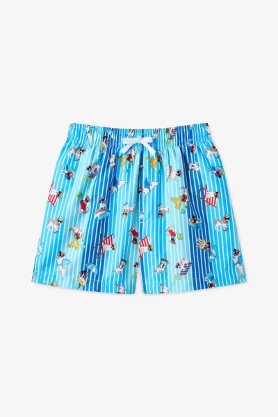 PLLYW67M26IY-MIX-MULTICOLORED_1