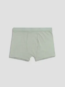 LCW Kids Petrol Boys' Boxer
