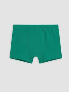 LCW Kids Green Boys' Boxer