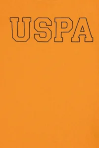 US Polo Assn. Boys' Orange Basic Crew Neck T-Shirt - Image 3