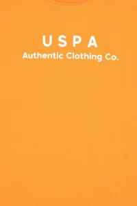 US Polo Assn. Boys' Orange Crew Neck T-Shirt - Image 5