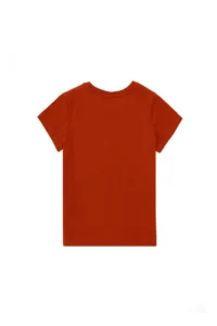 US Polo Assn. Boys' Brick Red Crew Neck T-Shirt - Image 2