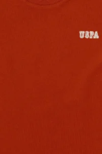 US Polo Assn. Boys' Brick Red Crew Neck T-Shirt - Image 3