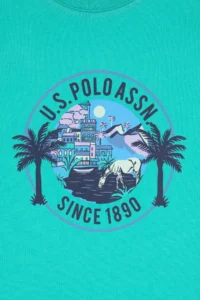 US Polo Assn. Boys' MINT Crew Neck T-Shirt - Image 3