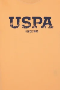 US Polo Assn. Boys' Melon Basic Crew Neck T-Shirt - Image 4