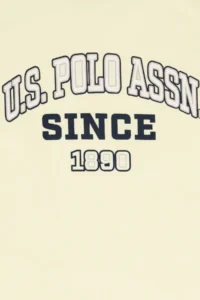 US Polo Assn. Boys' Lemon Crew Neck T-Shirt - Image 4