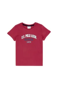 US Polo Assn. Boys' Cherry Crew Neck T-Shirt - Image 4