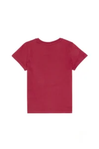 US Polo Assn. Boys' Cherry Crew Neck T-Shirt - Image 5