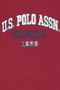 US Polo Assn. Boys' Cherry Crew Neck T-Shirt - Image 6