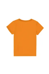US Polo Assn. Boys' Orange Crew Neck T-Shirt - Image 2