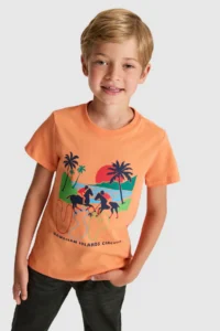 US Polo Assn. Boys' Orange Crew Neck T-Shirt