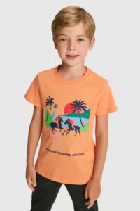 US Polo Assn. Boys' Orange Crew Neck T-Shirt - Image 3