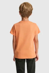 US Polo Assn. Boys' Orange Crew Neck T-Shirt - Image 5