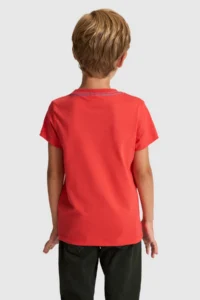 US Polo Assn. Boys' Red Crew Neck T-Shirt - Image 5