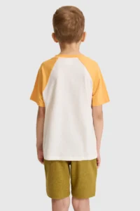 US Polo Assn. Boys' Mango Crew Neck T-Shirt - Image 5