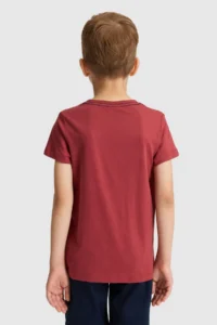 US Polo Assn. Boys' Cherry Crew Neck T-Shirt - Image 5