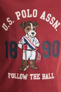 US Polo Assn. Boys' Cherry Crew Neck T-Shirt - Image 6