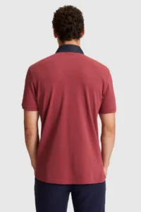 US Polo Assn. Men Cherry Regular Fit Polo Shirt Collar T-Shirt - Image 5
