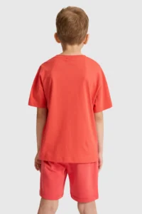 US Polo Assn. Boys' Red Crew Neck T-Shirt - Image 5