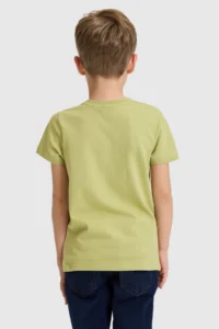 US Polo Assn. Boys' Green Crew Neck T-Shirt - Image 5