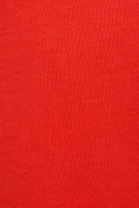 US Polo Assn. Girls' Red Fit Crew Neck Basic T-Shirt - Image 7