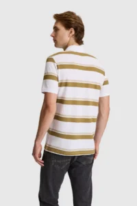 US Polo Assn. Men Green Regular Fit Polo Shirt Collar T-Shirt - Image 5