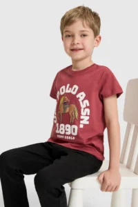 US Polo Assn. Boys' Cherry Crew Neck T-Shirt