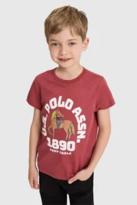 US Polo Assn. Boys' Cherry Crew Neck T-Shirt - Image 3