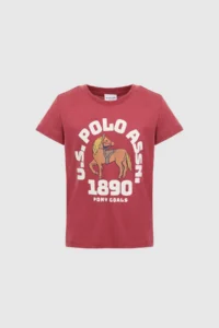 US Polo Assn. Boys' Cherry Crew Neck T-Shirt - Image 6