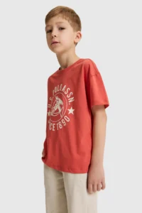 US Polo Assn. Boys' Brick Red Crew Neck T-Shirt - Image 3