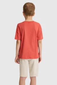 US Polo Assn. Boys' Brick Red Crew Neck T-Shirt - Image 5